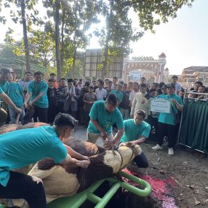 Terima Amanah 70 Hewan Kurban, Pesantren Assalaam Distribusikan Kurban ke Soloraya