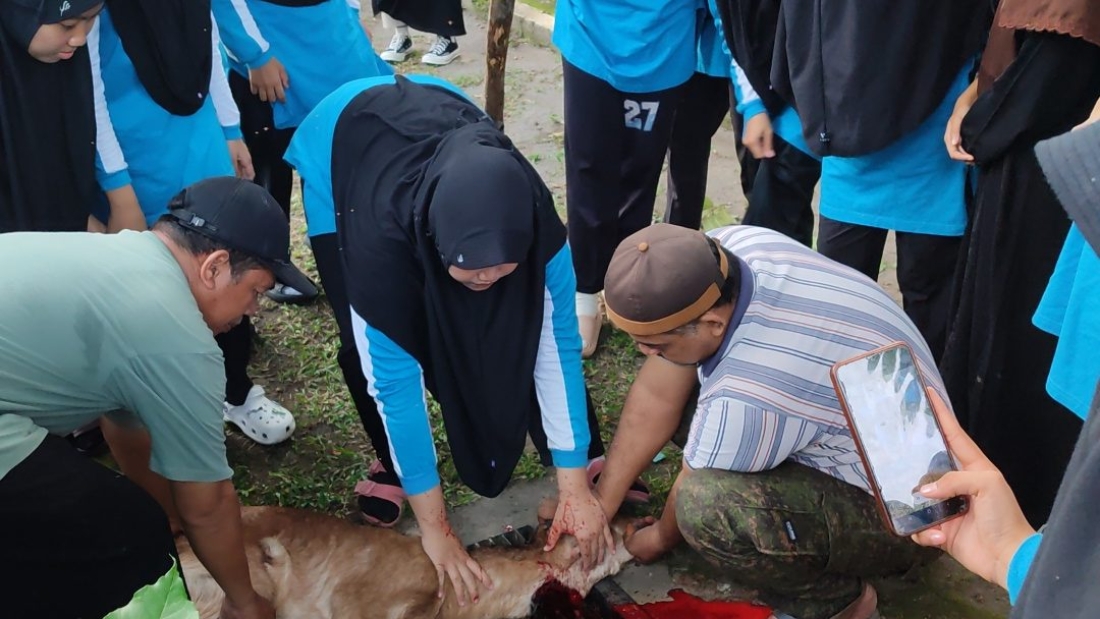 Sembelih Hewan Kurban hingga Manasik, Santri MA PPMI Assalaam Praktikum Fiqh & Keterampilan Hidup Islam